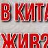 Платошкин Россия в 2024 году катастрофа или шанс