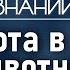 Почему за потомством следят некрасивые животные Лекция зоолога Ильи Гомыранова