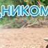 Буду проповедником ИНТЕРЕСНЫЙ ХРИСТИАНСКИЙ РАССКАЗ Христианские рассказы