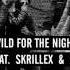 Wild For The Night A AP Rocky Feat Skrillex And Birdy Nam Nam