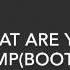 Shrek What Are You Doing In My Swamp Bootleg Remix
