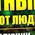 АНТИ Дарвин теория ИНВОЛЮЦИИ Александр Белов