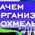 Зачем нашему организму похмелье ЕСТЬ 5 МИНУТ