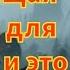 Рим против самнитов Тайны войны за господство в Италии