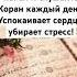 ЯСИН СЛУШАЙТЕ КОРАН ДЛЯ УСПОКОЕНИЯ ДУШИ Quran сура ислам Quran