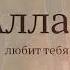 Всевышний Аллах любит тебя