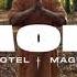 Le Motel Ft Magugu Shaolin