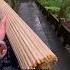 Why Japan S Iconic Umbrellas Are Fading Away Japan Shorts
