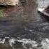 Футаж Лесной ручей Шум воды Ручей с камнями Журчание воды в ручейке Старый мост