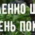 Прихожу к Тебе на поклоненье