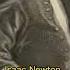 Isaac Newton English Mathematician Physicist Astronomer Alchemist Theologian Author Shorts
