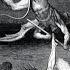 A History Of Witchcraft 13 The Child Witches Of Sweden
