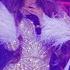 Lilit Hovhannisyan Khrovats Er Live 2019 Dream World Tour