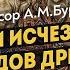 История сибирской цивилизации древнее Египетских пирамид Профессор А М Буровский Д Перетолчин