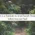 Read Surah Yusuf When You Are Depressed Or Sad Allah Motivation Trending Youtubeshorts Ramadan