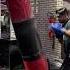 Heavybag Punching Sound Gym Gymmotivation Gymlover Fitnessmotivation Boxing Punching