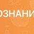 Обществознание 6 класс Гуманизм
