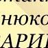 Константин Станюкович Товарищи