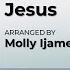 What A Friend We Have In Jesus Arranged By Molly Ijames