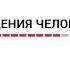 Биология поведения человека Лекция 20 Агрессия IV Роберт Сапольски 2010 Стэнфорд