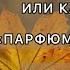 Наконец то я ЕГО купила ИТОГИ ОКТЯБРЯ ЛЮБИМЫЕ АРОМАТЫ на ОСЕНЬ ЛЮКС аналоги восток