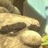 CGI Animated Shorts BROKEN Rock Paper Scissors By The Broken Team Ringling TheCGBros