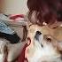 Я эту жизнь тебе отдам корги Лейла и мама I Ll Give You This Life Corgi Leyla And Mum