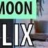 Molly Moon Netflix