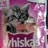 Купил корм WHISKAS Вискас для кошки по акции