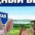 Кролики это выгодно Как заработать на кроличьей ферме Владимирская область Андрей Даниленко