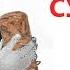 При чем тут Сульман