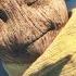 Groot S Snow Day Marvel Studios I Am Groot S2 E3