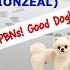 Построение PBN как создать и развить сетку сайтов Daryl Rosser из Lion Zeal