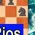 RIOS De Sangre Y SACRIFICIOS Magnus Carlsen Vs Markus Ragger