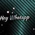 Hey WhatsApp Everybody