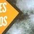 La Vida En El Suelo Documental