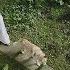 Алёна Долецкая о перевоплощениях кризисе глянца и нежелании покидать Россию The Blueprint