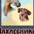 А П Чехов Нахлебники чит Александр Водяной