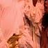 Army Of Lovers Lit De Parade