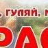 Караоке Ой при лужку при лужке Русская Казачья Народная Песня