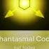 Phantasmal Code Disassembly Required Remix