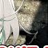 Cecilia S Unexpected Target A Poor Defenseless Old Lady Hololive EN