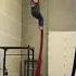 Ariel Silks Performance The Hero Inside Of Me By Andrew Stein
