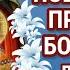 Перед сном поблагодари Пресвятую Богородицу за прожитый день Вечерняя молитва Богородице