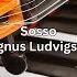 Sosso Magnus Ludvigsson