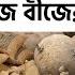 ধ পগ ড ত প ঞ জ ব আল ব জ র দ ম Punjab Potato Seed Price India Potato News