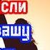 Ваше сознание и ваши мысли создают вашу реальность Джон Кехо Библиотека Миллионера Обучение