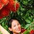 Harvesting Red Rambutan Fruits And Goes To Market Sell Living In Countryside Harvest DailyLife