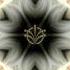 Martin Andrioli Gadgets Original Mix