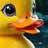 Little Baby Duck Goes Quack Quack Quack Adorable Duck Nursery Rhyme Fun Animal Song For Kids
